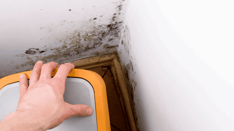 Hand moving furniture to reveal mold on the wall.