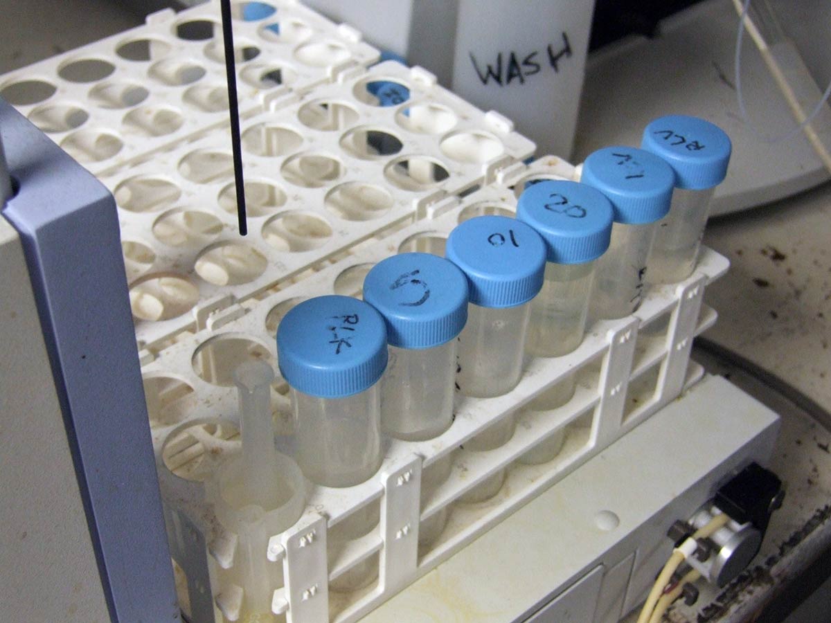 Lab test tubes in rack for chemistry experiment analysis.