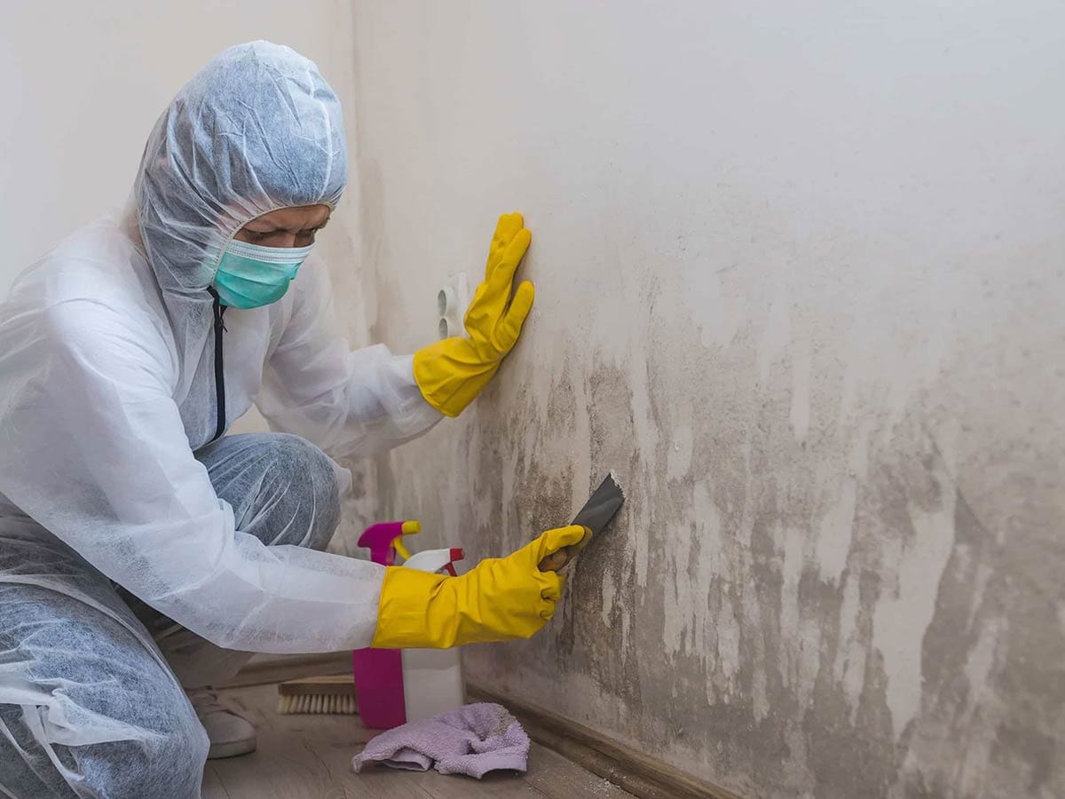 Person in protective gear cleaning moldy wall.