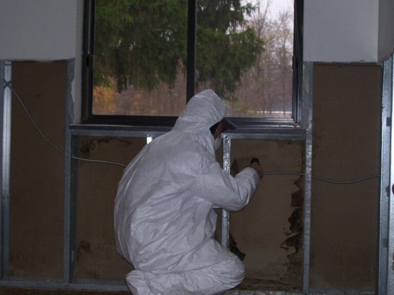 Worker inspecting wall for asbestos removal.