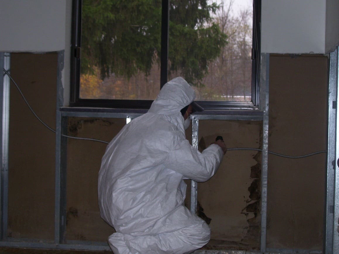 Worker inspecting wall for asbestos removal.